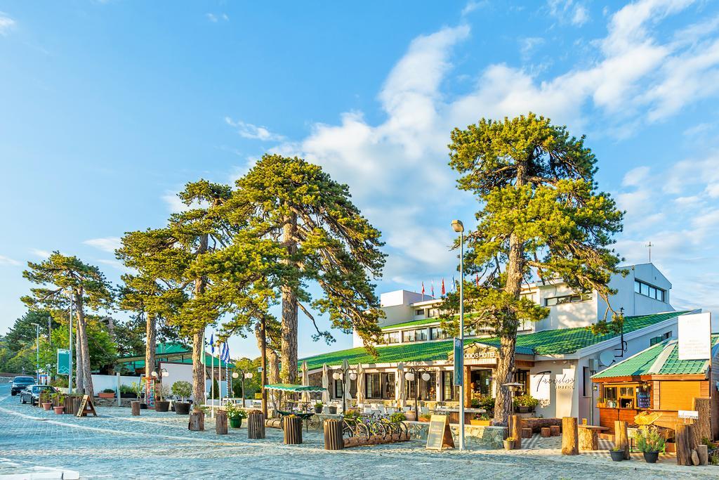 Troodos Hotel & Spa エクステリア 写真