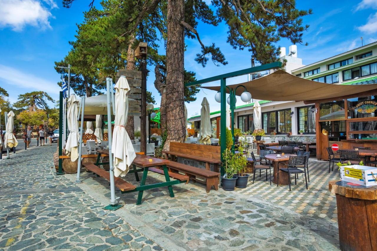 Troodos Hotel & Spa エクステリア 写真