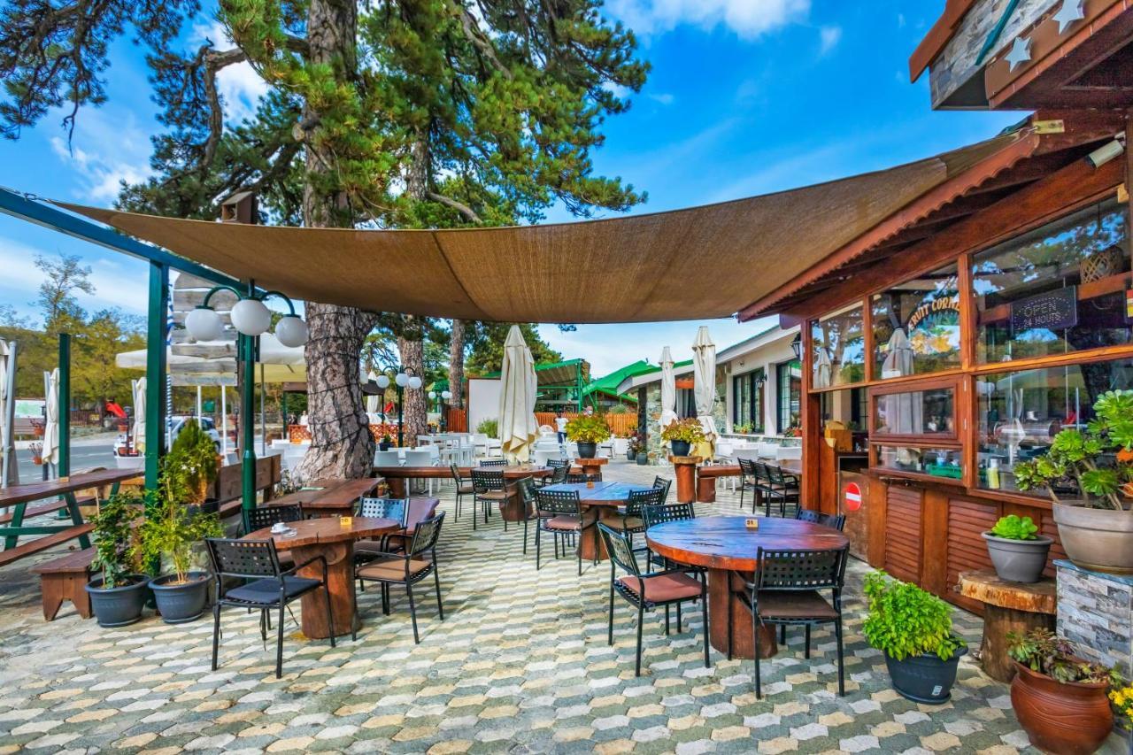 Troodos Hotel & Spa エクステリア 写真