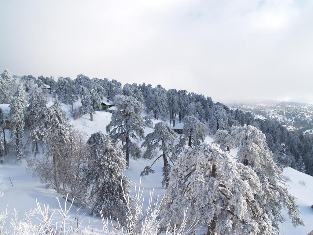 Troodos Hotel & Spa エクステリア 写真