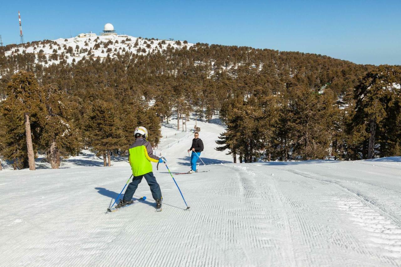 Troodos Hotel & Spa エクステリア 写真