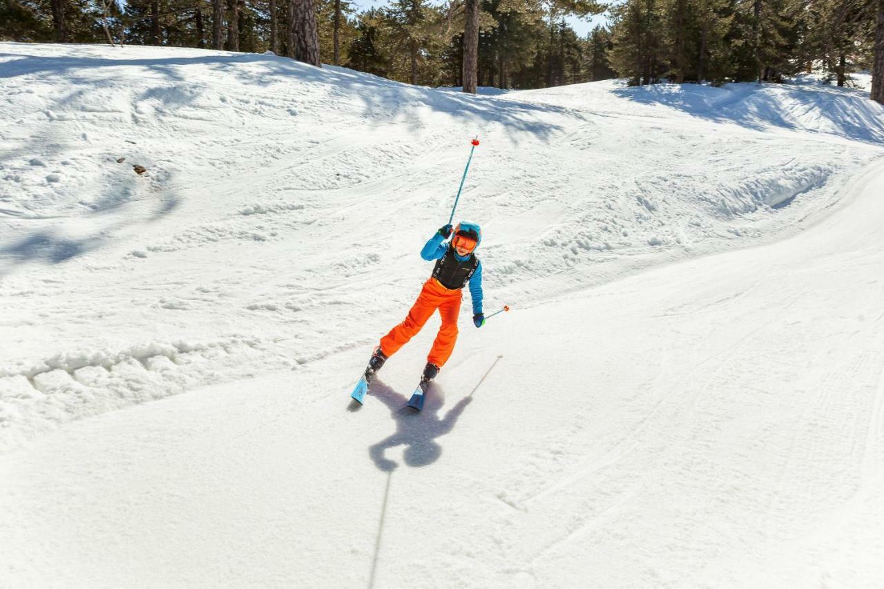 Troodos Hotel & Spa エクステリア 写真